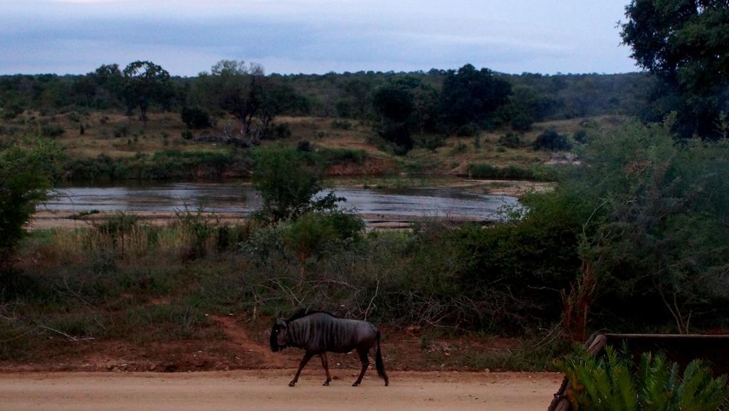 Tau @ Kruger Vila Marloth Park Quarto foto