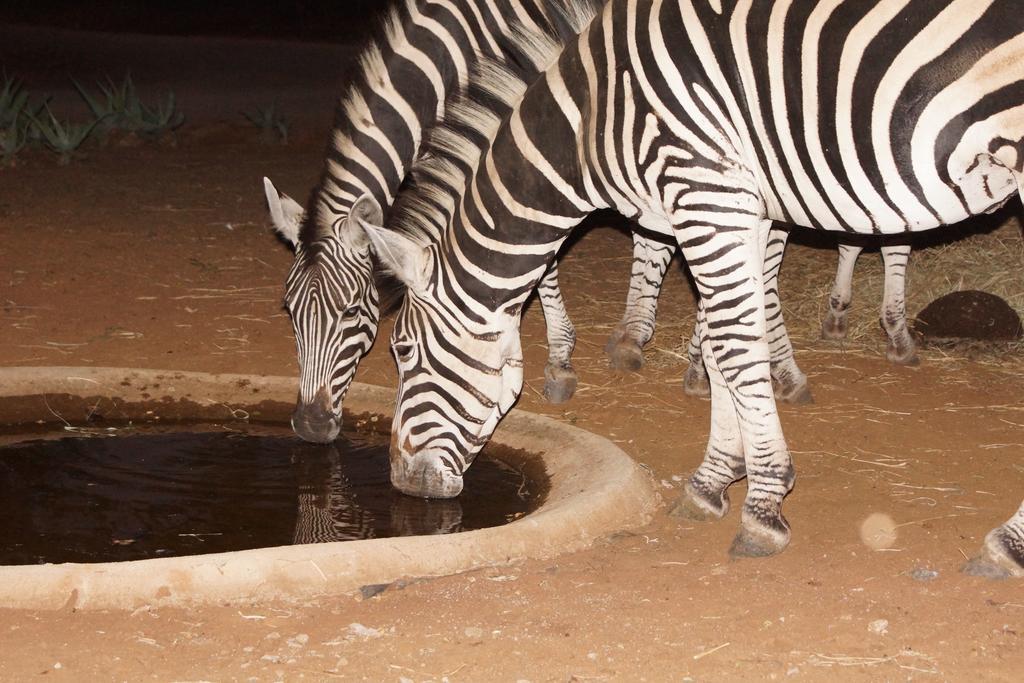 Tau @ Kruger Vila Marloth Park Exterior foto