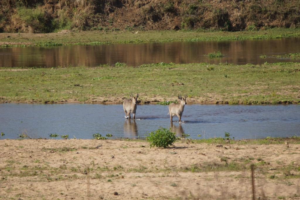Tau @ Kruger Vila Marloth Park Exterior foto