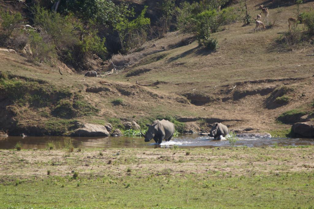 Tau @ Kruger Vila Marloth Park Exterior foto