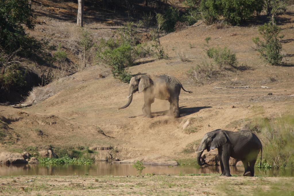 Tau @ Kruger Vila Marloth Park Exterior foto